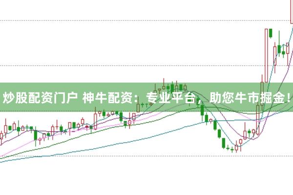 炒股配资门户 神牛配资：专业平台，助您牛市掘金！