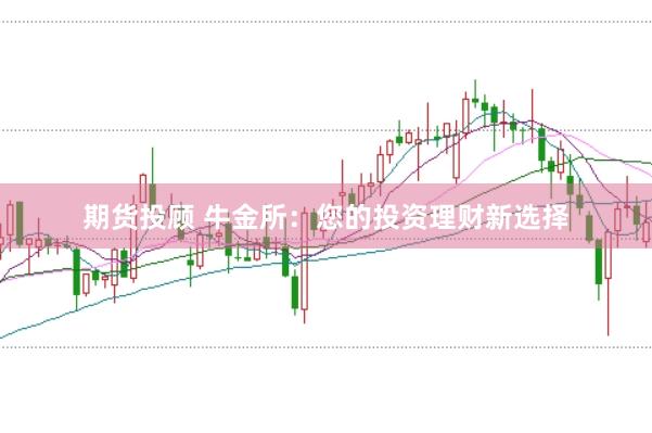 期货投顾 牛金所：您的投资理财新选择