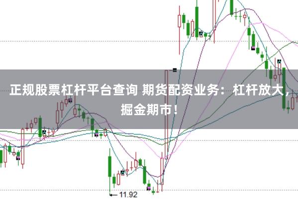 正规股票杠杆平台查询 期货配资业务：杠杆放大，掘金期市！