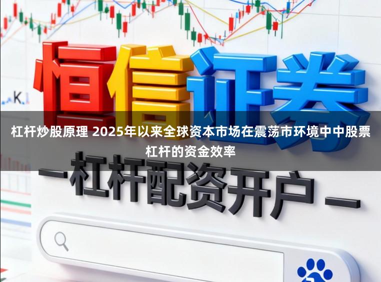 杠杆炒股原理 2025年以来全球资本市场在震荡市环境中中股票杠杆的资金效率